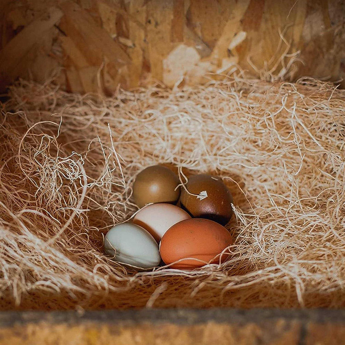 Laying Hen Nesting Pads W48798