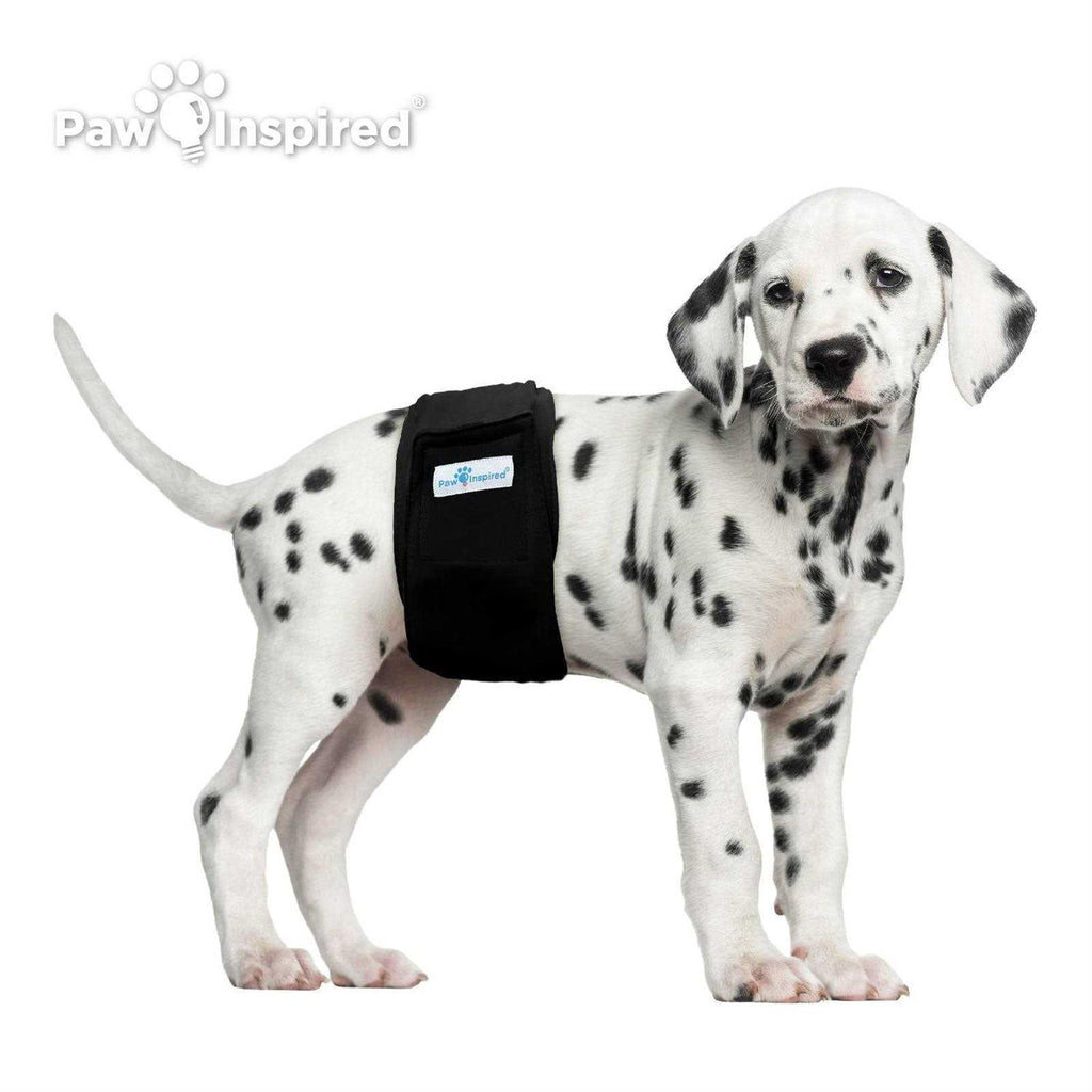 Washable Dog Belly Band L6213