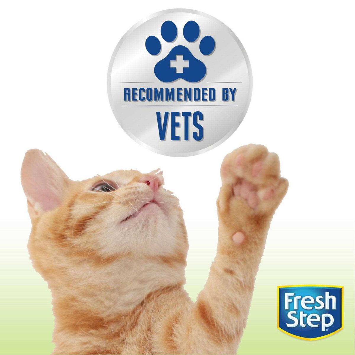 Unscented Cat Litter H304