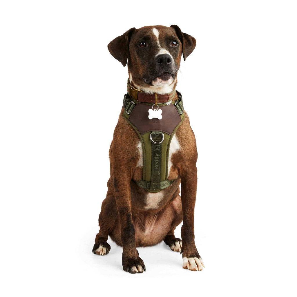 Dog Harness Z3773
