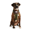 Dog Harness Z3773
