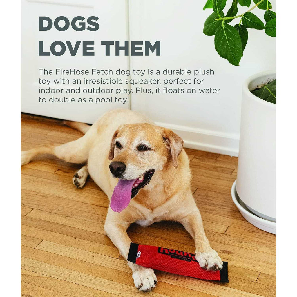 Fetch Dog Toy A504230