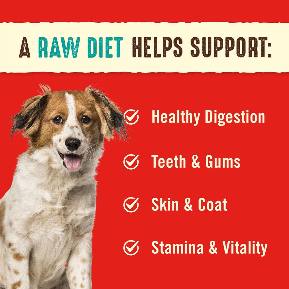 Freeze-Dried Dog Food X6033