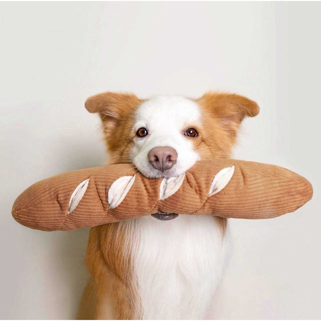 Dog Toy U807724