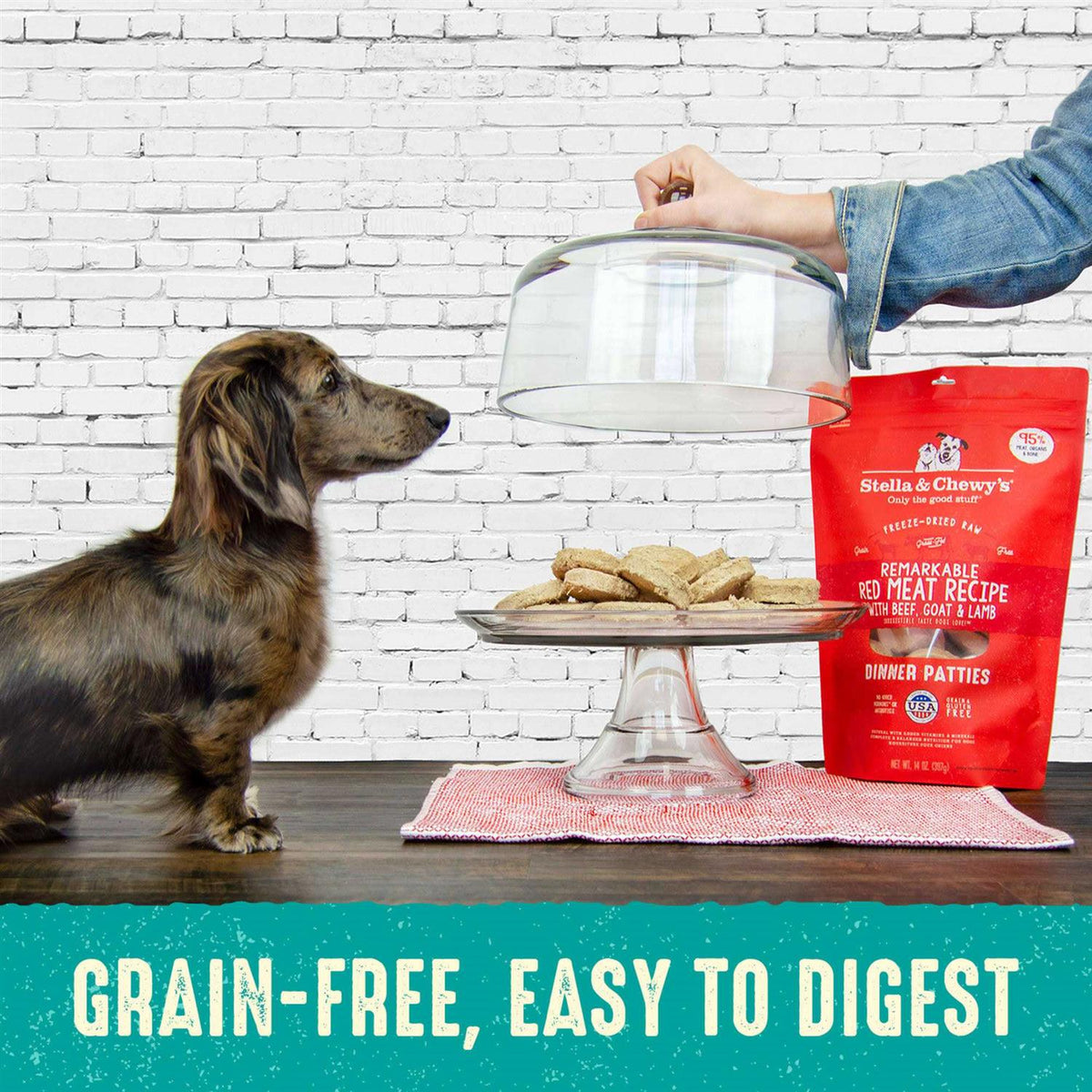 Freeze-Dried Dog Food X6033