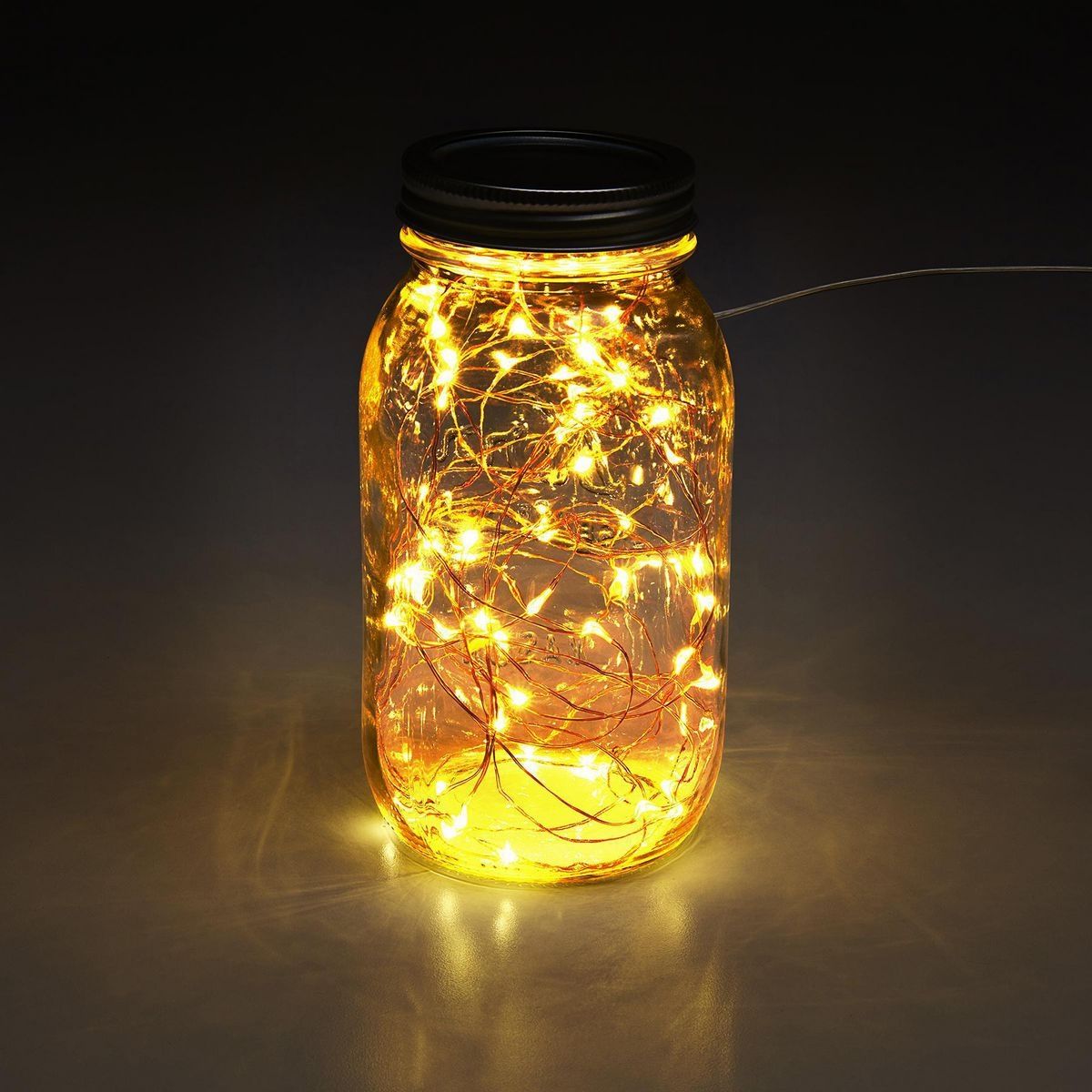 Warm White Copper Wire Lights with Remote L249