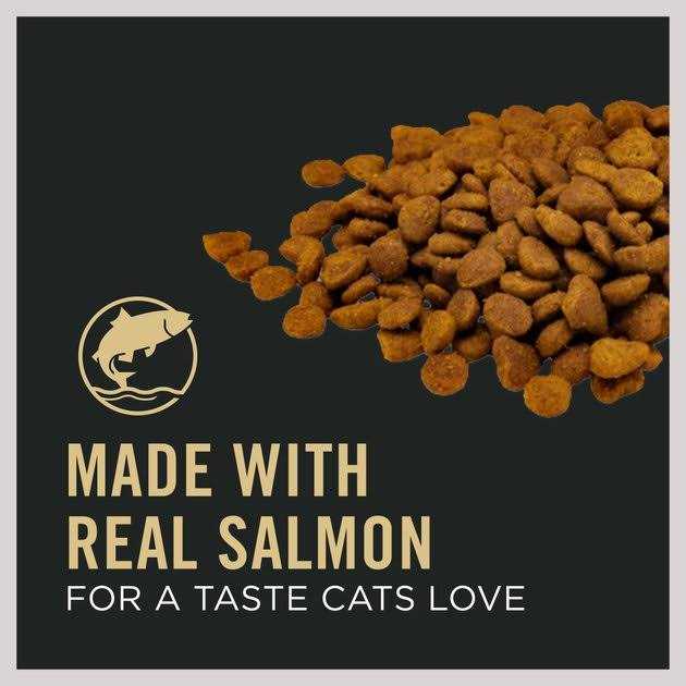 Salmon and Rice Senior Dry Cat Food H6097