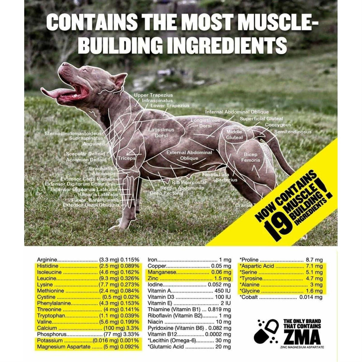 Canine Supplement L3701