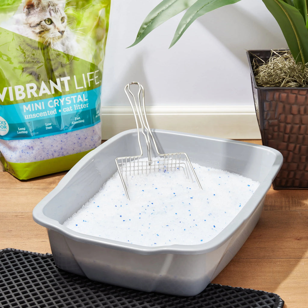 Mini Unscented Cat Litter 8 lb A50295