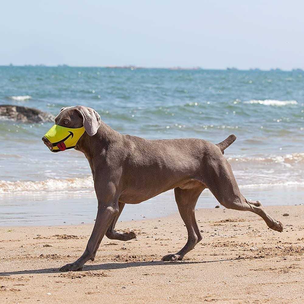 Dog Muzzle with Soft Breathable Air Mesh Nylon Y611