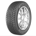 All-Season Tire W3169