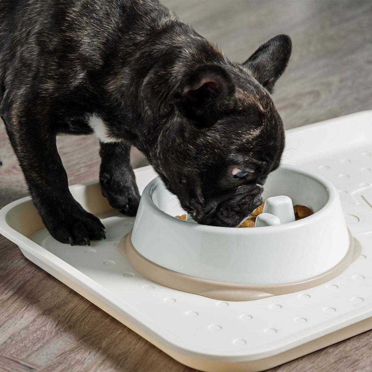 Slow Feeding Bowl for Short Snouted Pets Y143732