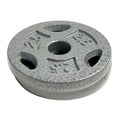10 lb Standard 1 Weight Plate Set (2.5 lb x 4) W386094