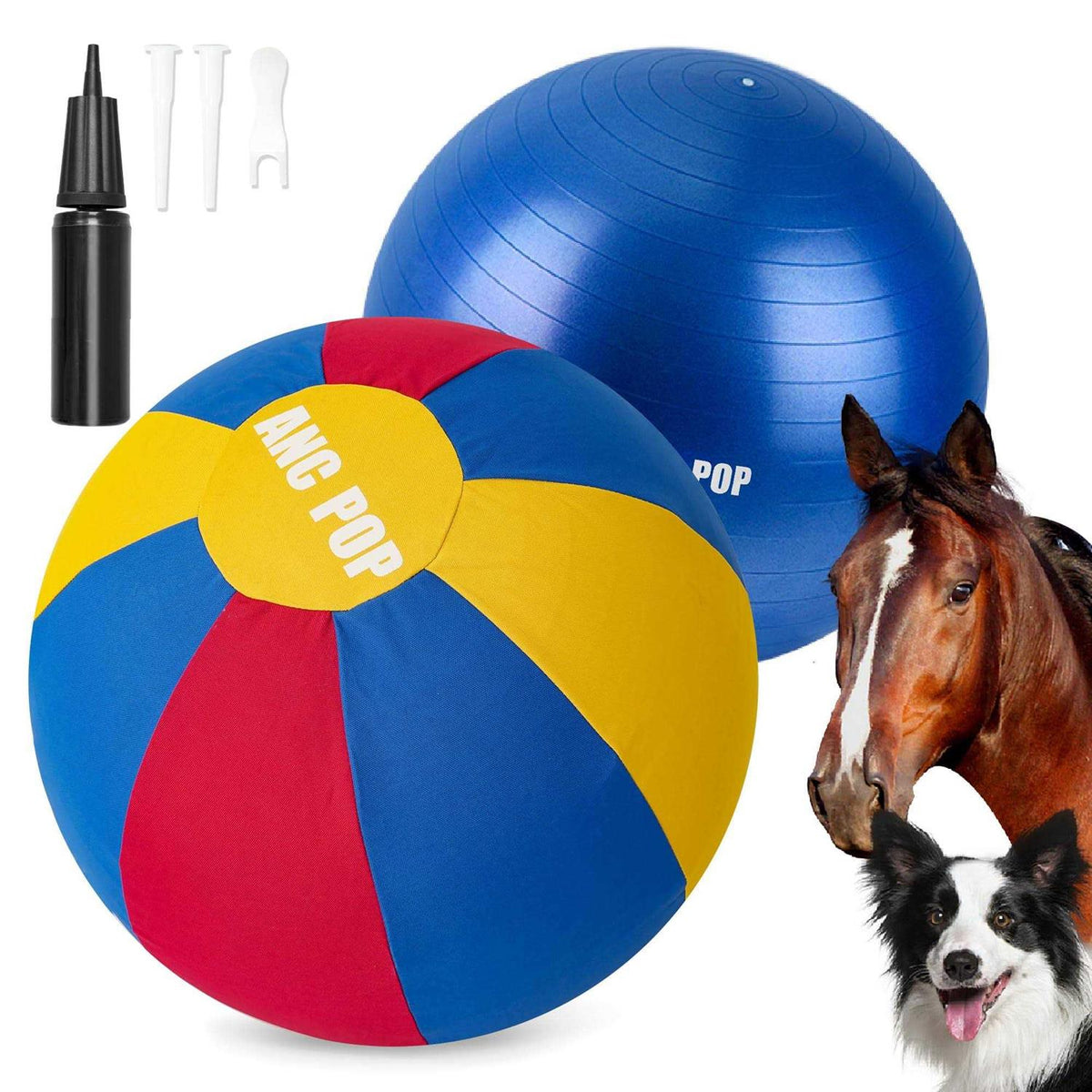 Herding Ball for Horses with Hand Pump K9984
