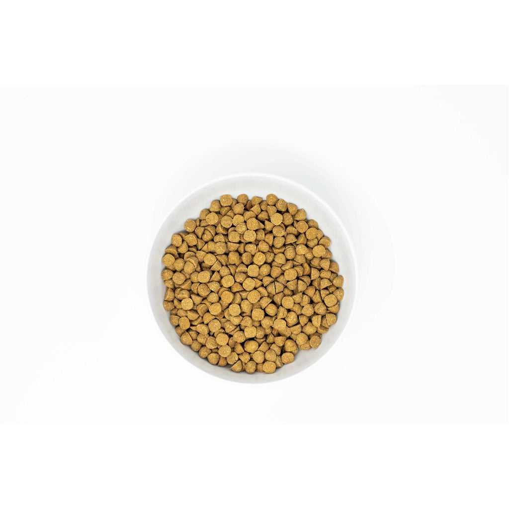 Raw Coated Kibble Dog Food T37503