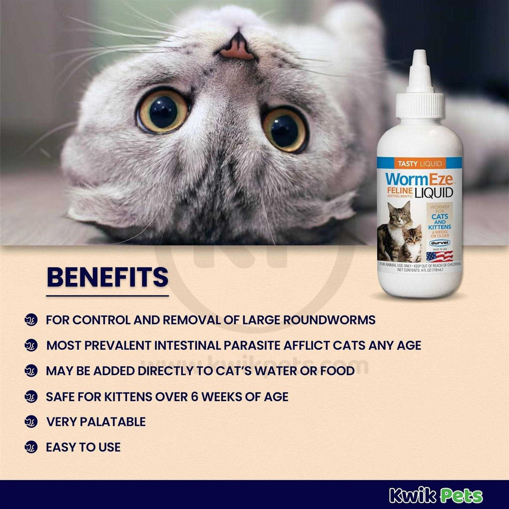 Feline Liquid A12655