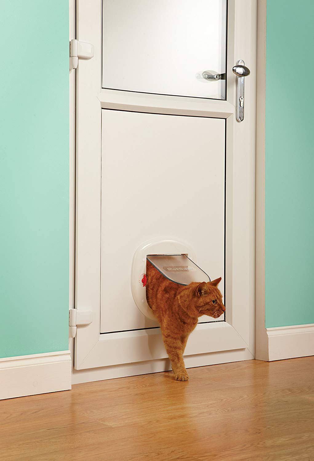 White Pet Door N94276