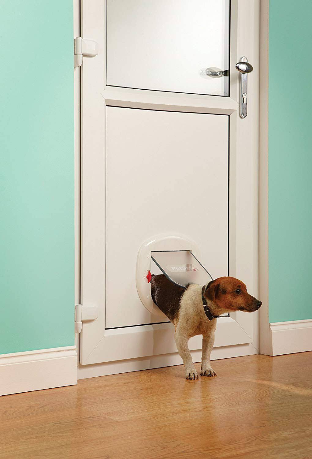 White Pet Door N94276