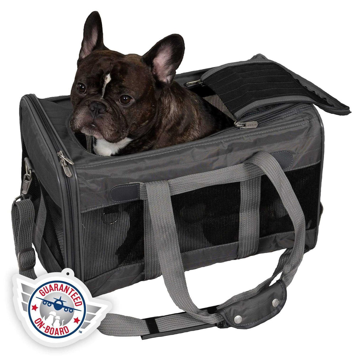 Pet Carrier T580