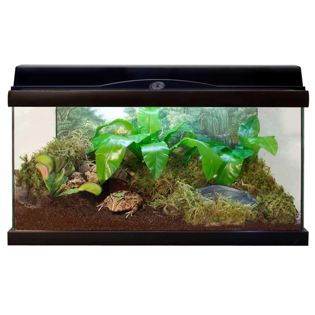 Eco Earth Compressed Coconut Fiber Substrate N2246