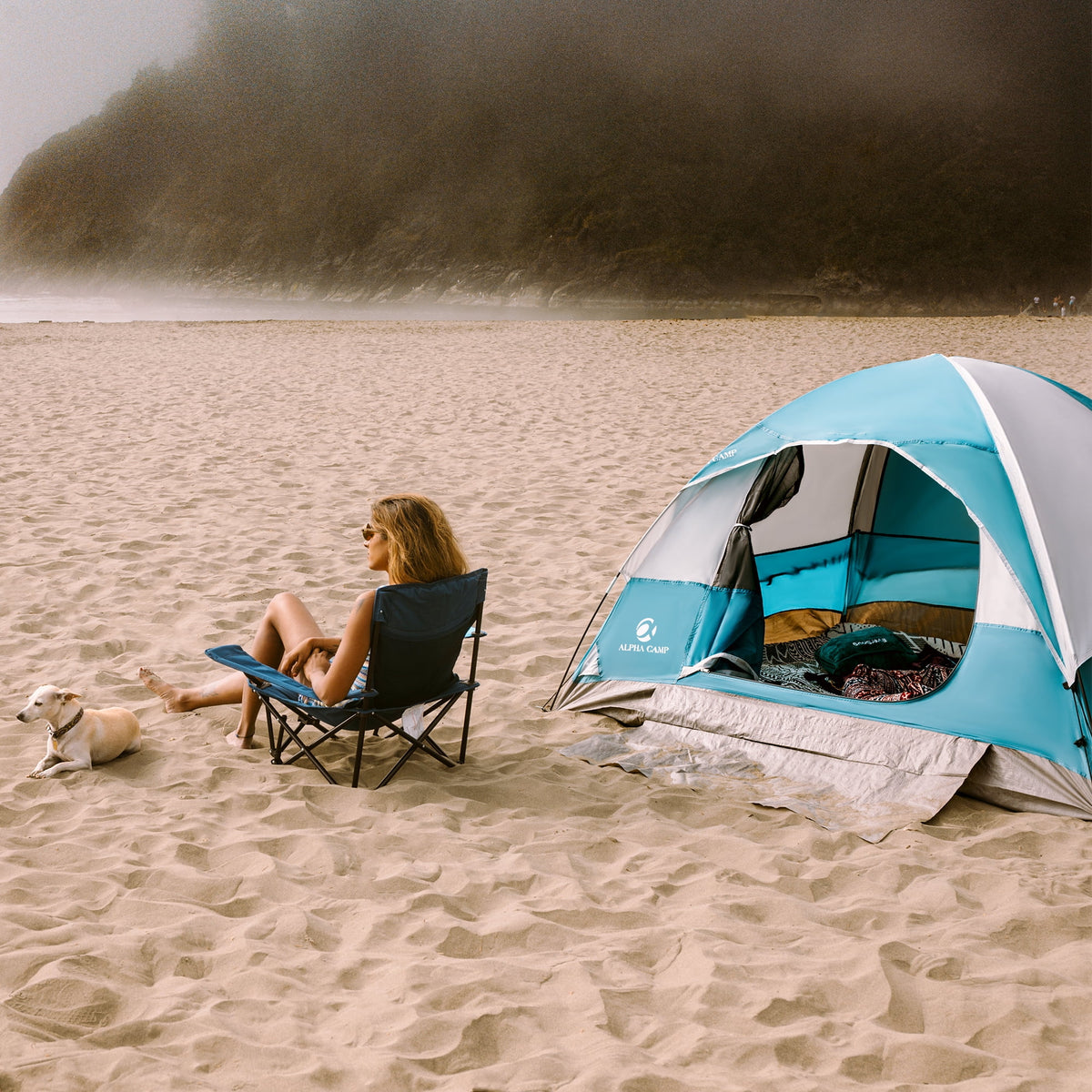 2-Person Waterproof Camping Dome Tent with Carry Bag, Blue D961460