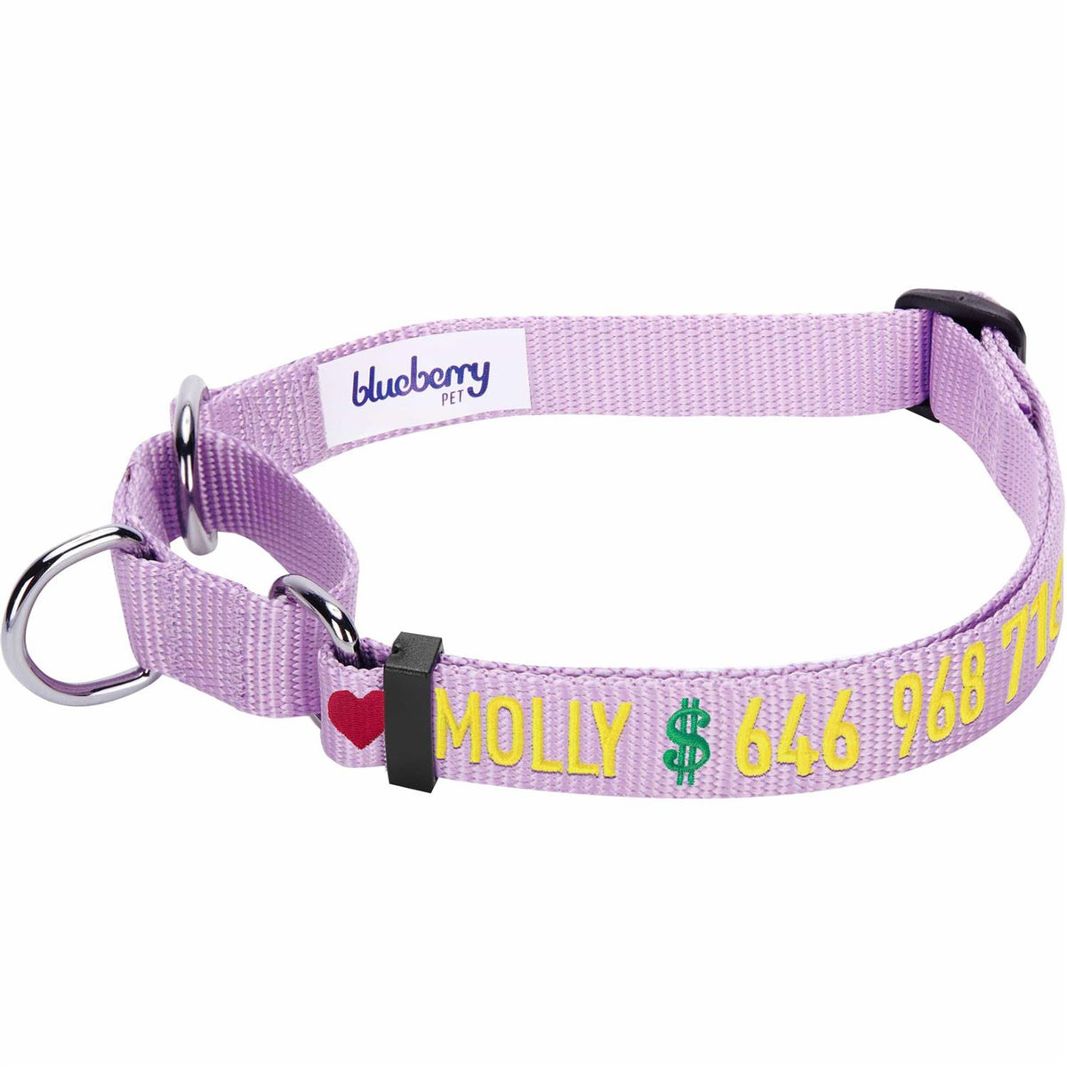 Martingale Safety Training Dog Collar W73634