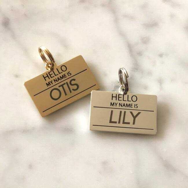 Hello My Name is ID Tag Z279665