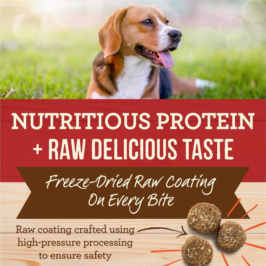 Healthy Grains Freeze Dried Raw Coated Dry Dog Food Brown Rice Recipe Q2687