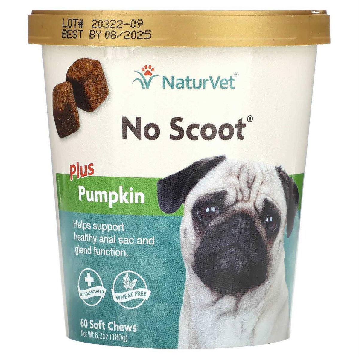 Pumpkin for Dogs G39370