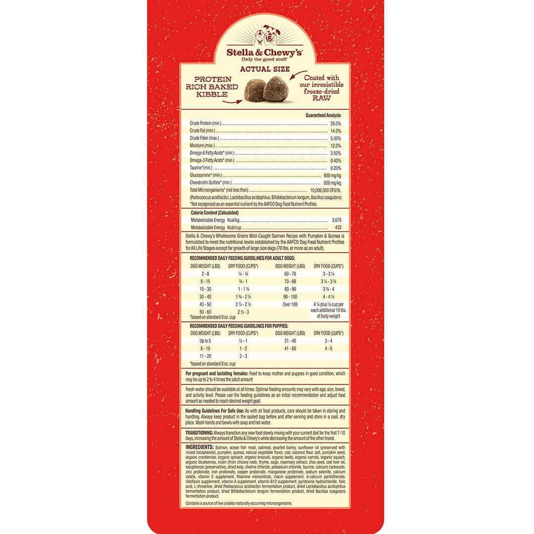 Raw Coated Kibble with Wholesome Grains Dog I1797