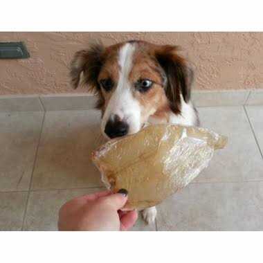 Buffalo Ears for Dogs U586074