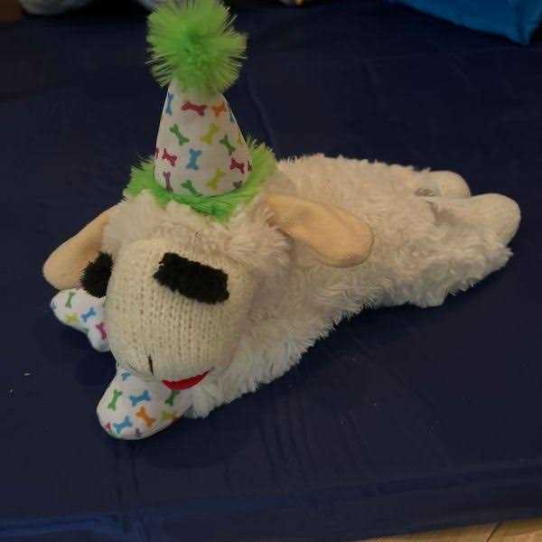 Lamb Chop Dog Toy with Birthday Hat E703210