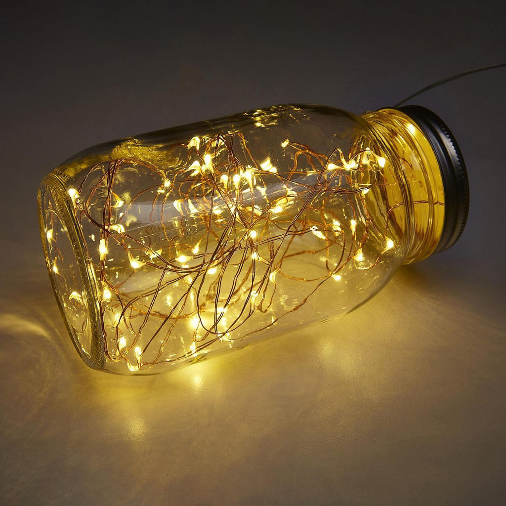 Warm White Copper Wire Lights with Remote L249