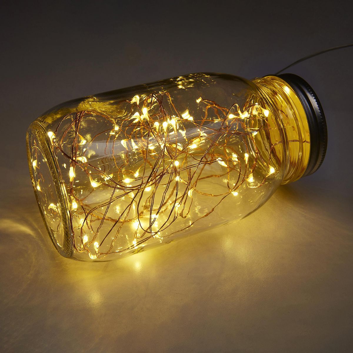 Warm White Copper Wire Lights with Remote L249