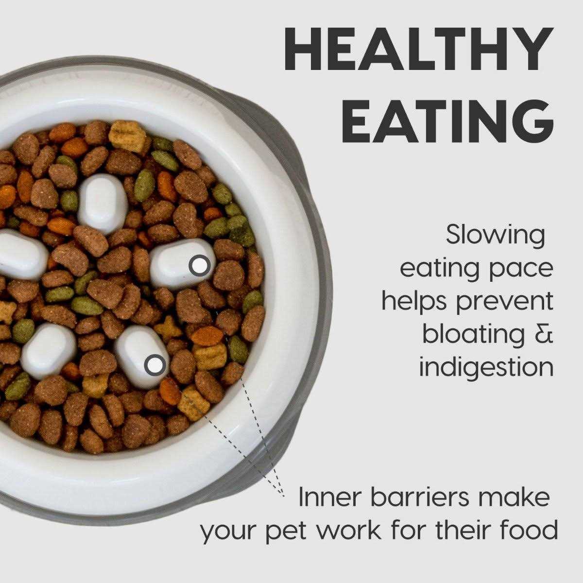 Slow Feeding Bowl for Short Snouted Pets Y143732