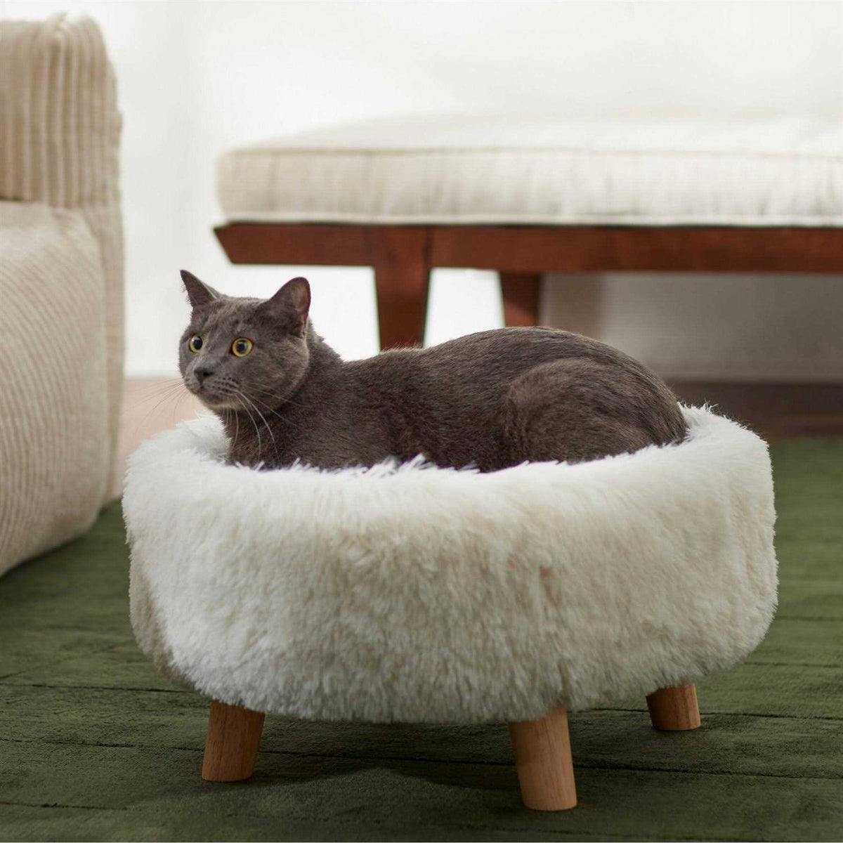 Round Elevated Cat Bed K881221