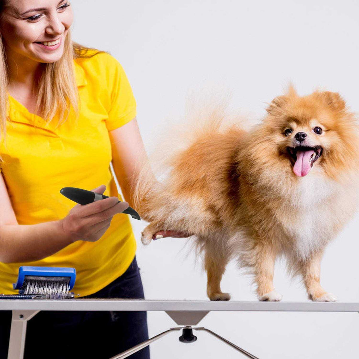 Cordless Low Noise Electric Pet Trimmer P626496