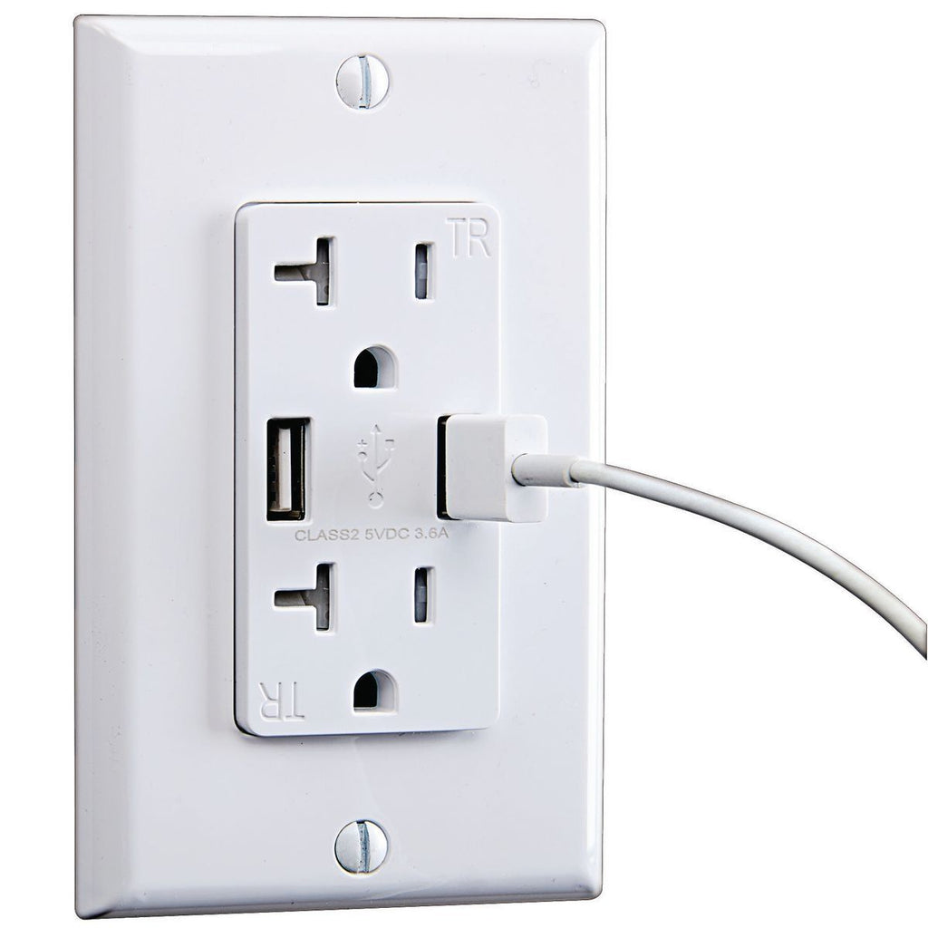 20 Amp 125v 2 USB Rapid Charging Outlet L36101