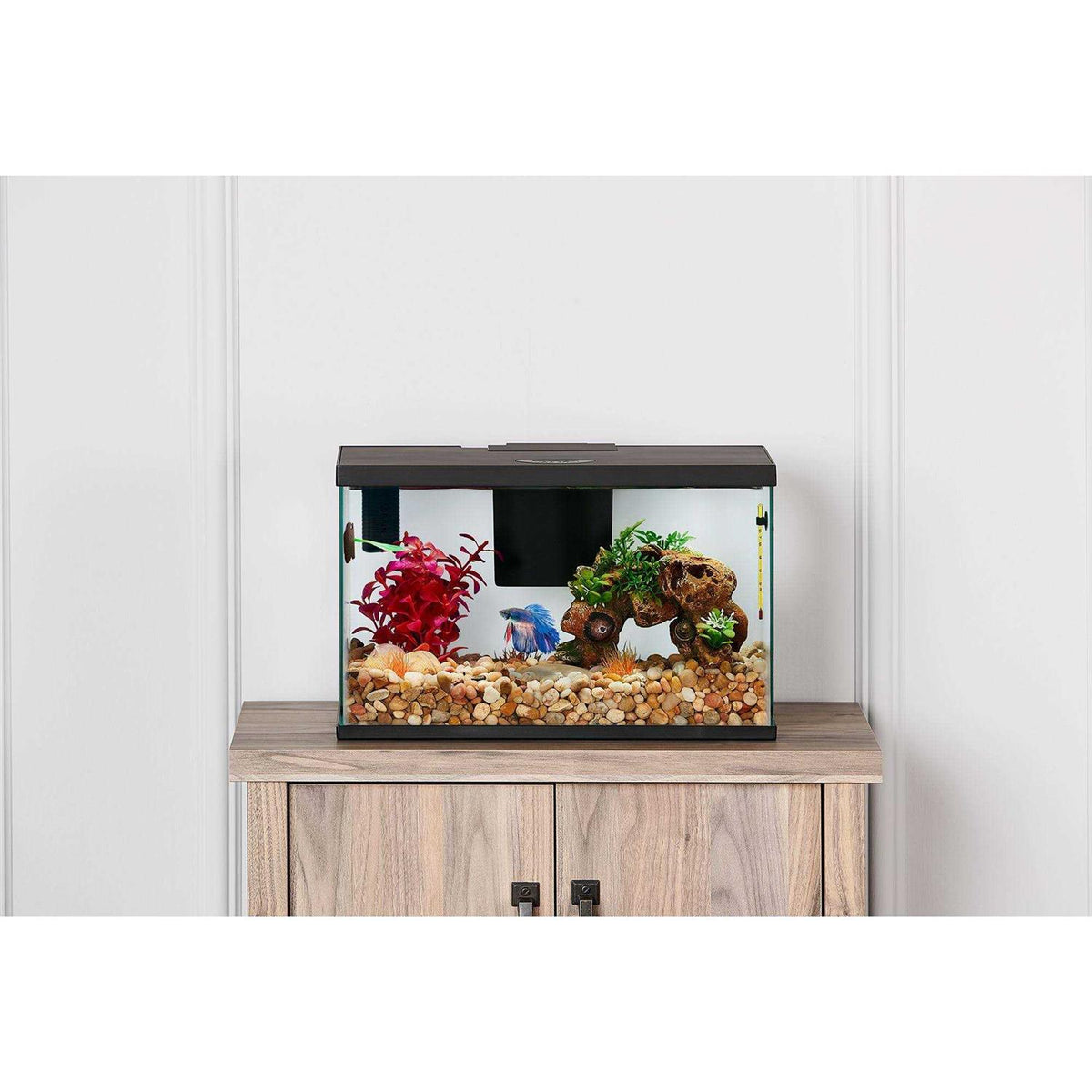 Betta Tank Starter Kit X40600