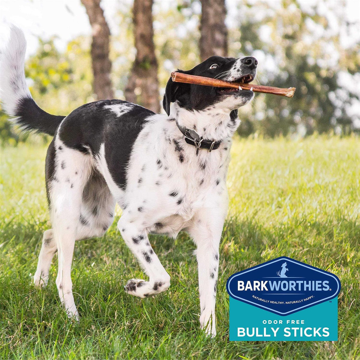 Odor Free Bully O689