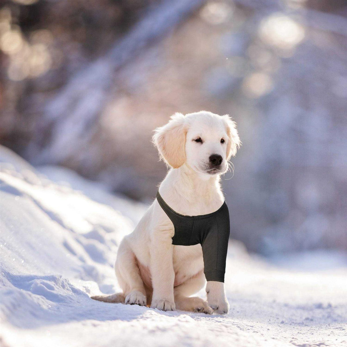 Dog Recovery Sleeve H51948