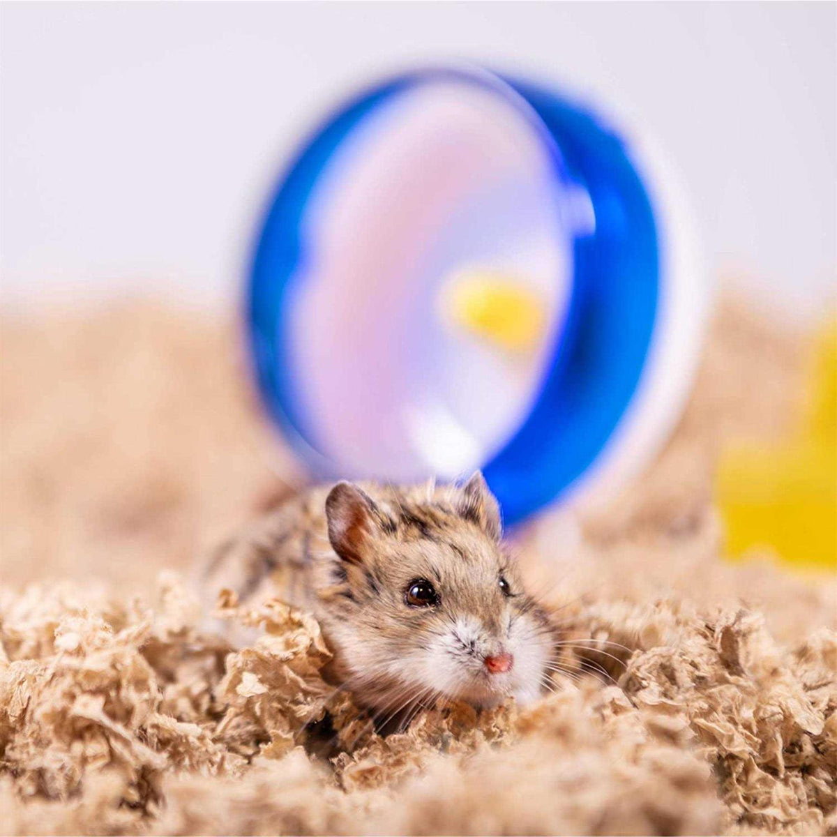 Soft Paper Pet Bedding I84338