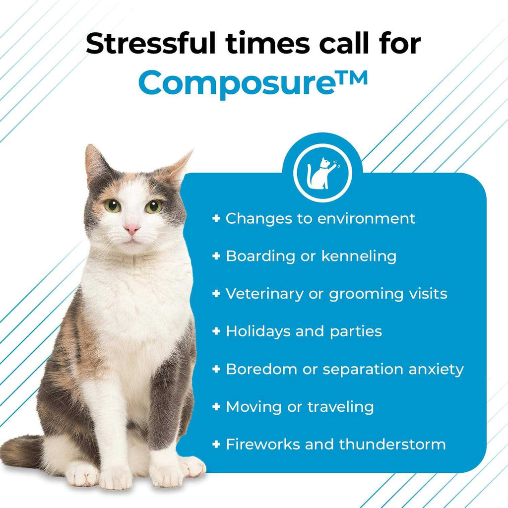 Cat Supplement C535153