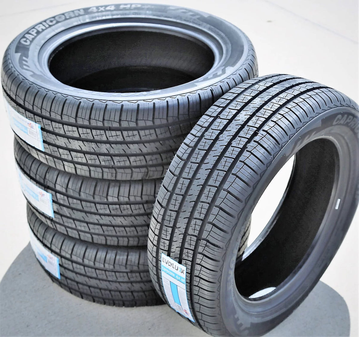 255/60R19 109H Performance Tire D280009