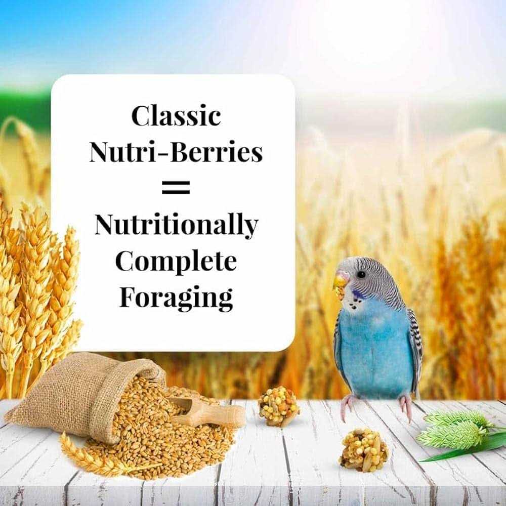 Nutri Berries Food Y700429