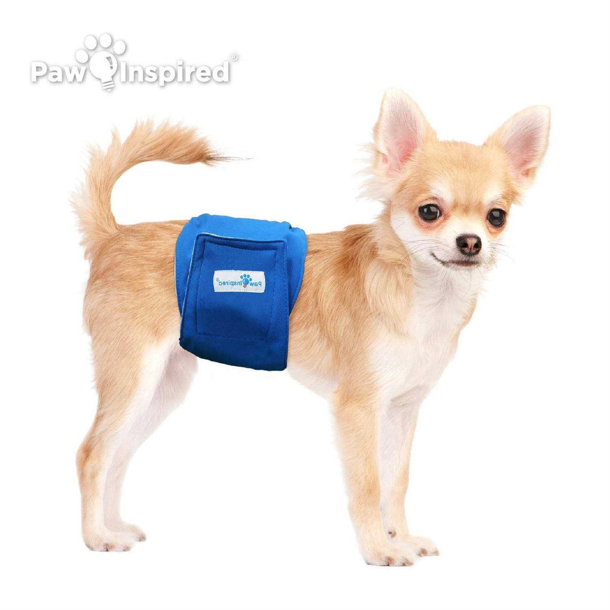 Washable Dog Belly Band L6213
