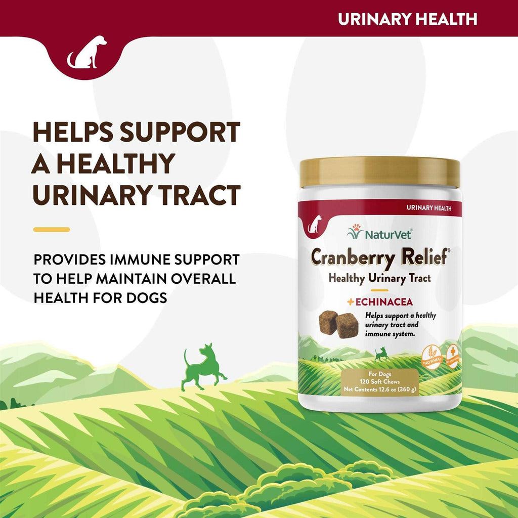 Cranberry Relief Plus Echinacea Soft Chews for Dogs E94548