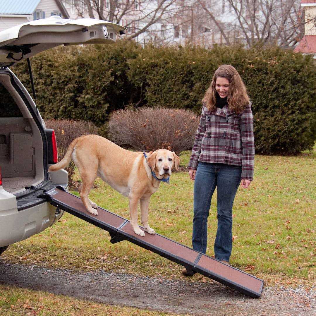 Tri-Fold Pet Ramp Y73996