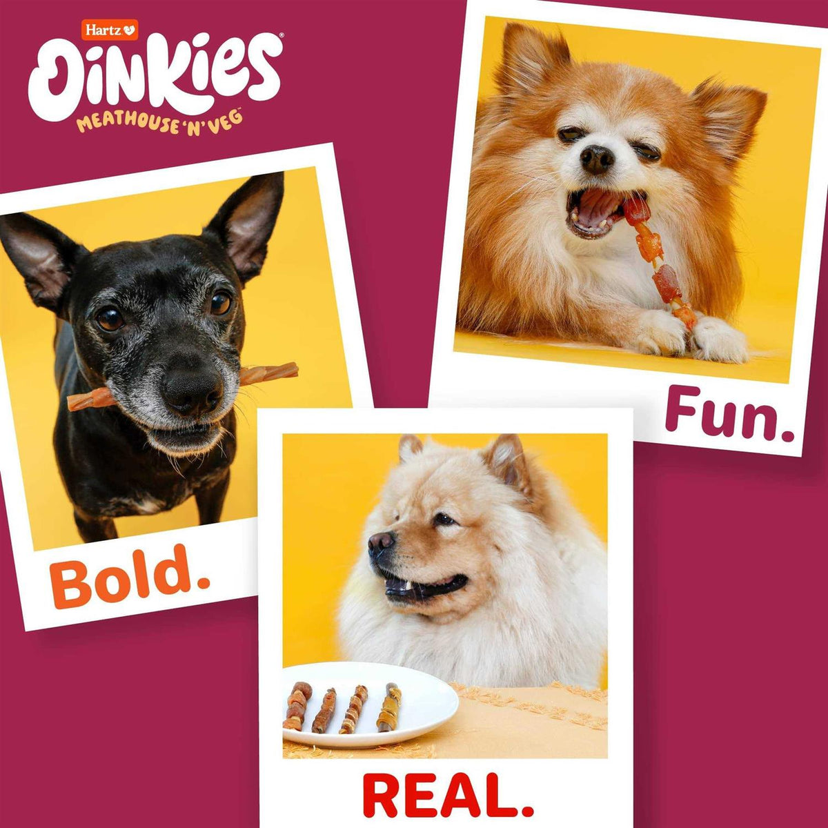 Dog Treats N25420