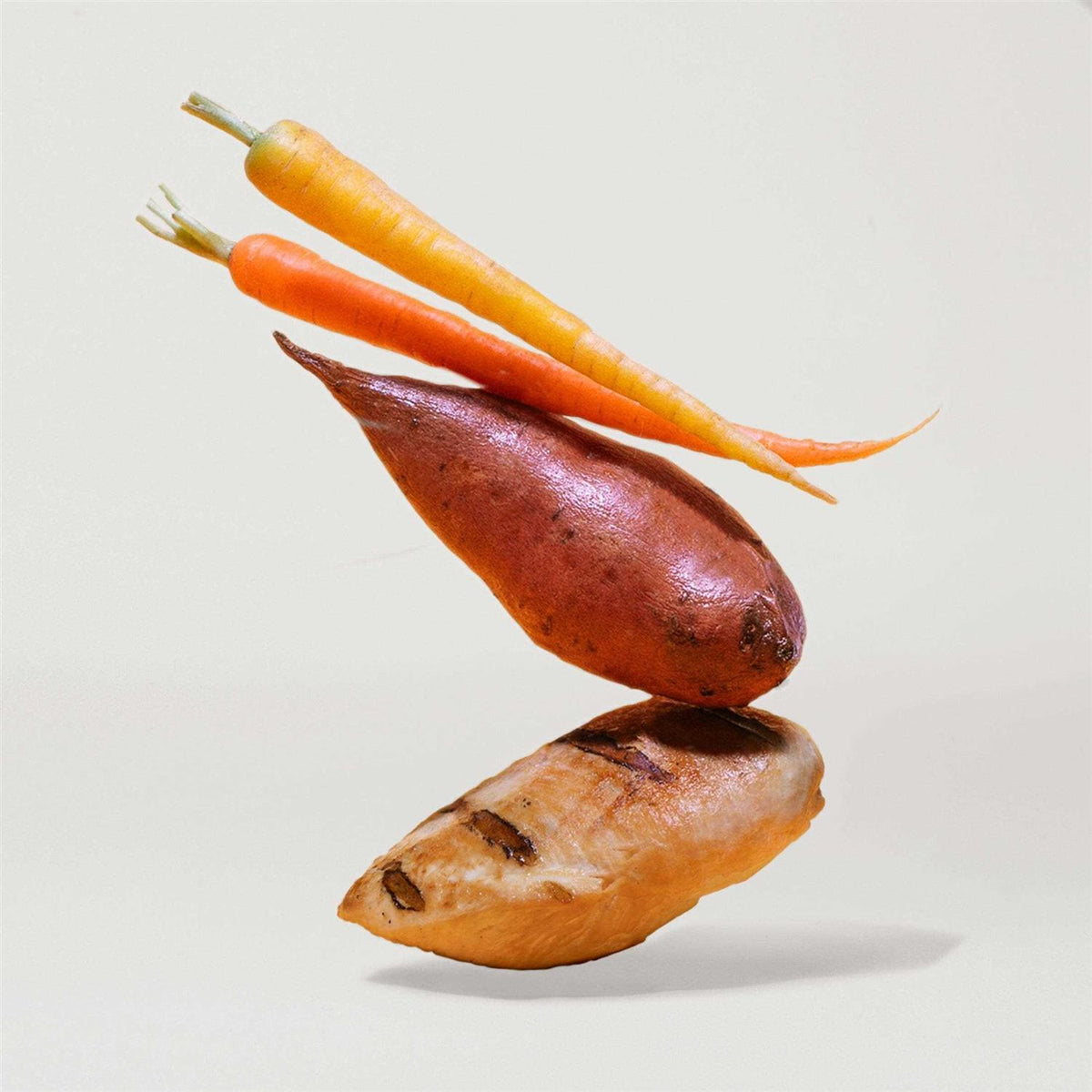 Sweet Potato & Carrot Dry Dog Food Y37130